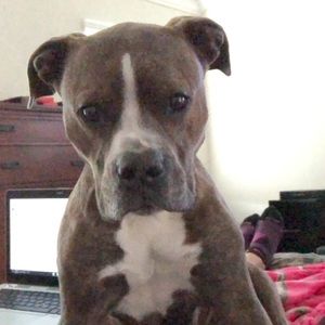 Meet your Posher, Desiree